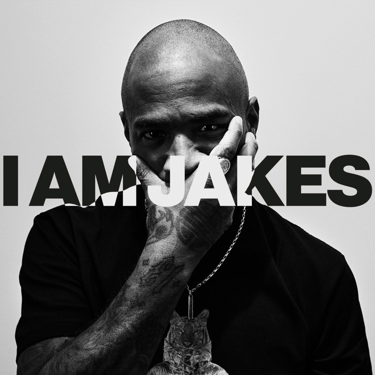 Jakes